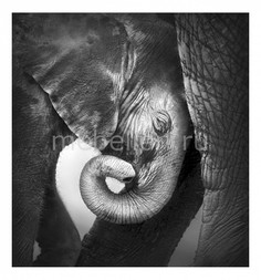 Панно Elephants 323068 ОГОГО Обстановочка