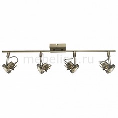 Спот 430 A4301PL-4AB Arte Lamp
