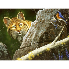 Раскраска по номерам на картоне Color KIT "Рысь", 30х40 см