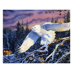 Картина по номерам Color KIT "Зимней ночью", 50х65 см