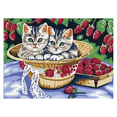 Картина по номерам Color KIT "Котята в саду", 30х40 см