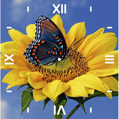 Алмазная вышивка Color KIT "Алмазные часы" Подсолнух, 30х30 см