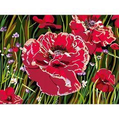 Картина по номерам Color KIT "Маков цвет", 30х40 см