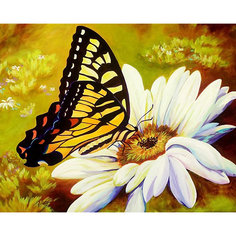 Алмазная картина-раскраска Color KIT "Летняя идилия", 40х50 см