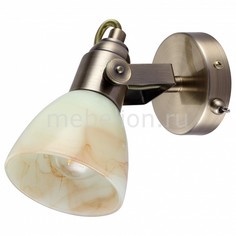 Бра 9582 A9582AP-1AB Arte Lamp