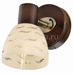 Спот Shayla TL3730Y-01BB Top Light