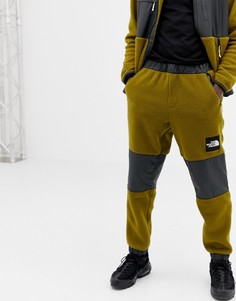 Зеленые флисовые брюки The North Face - Зеленый