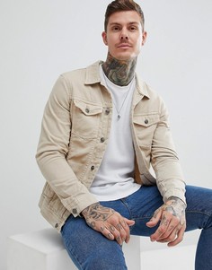 Светло-бежевая джинсовая куртка Pull&Bear - Светло-бежевый