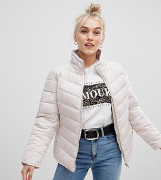 Дутая куртка Miss Selfridge Petite - Бежевый