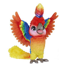 Интерактивная игрушка FurReal Friends "Rock a to the show bird" Попугай поющий Кеша Hasbro