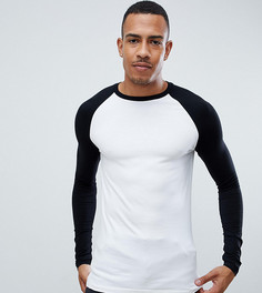 Обтягивающий лонгслив с контрастными рукавами реглан ASOS DESIGN Tall - Мульти