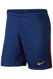 Шорты Nike