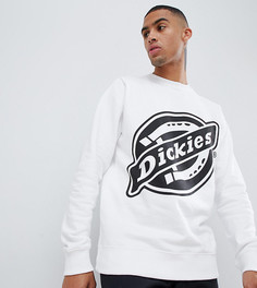 Белый свитшот Dickies - Белый