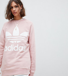 Розовый свитшот с логотипом-трилистником adidas Originals - Розовый