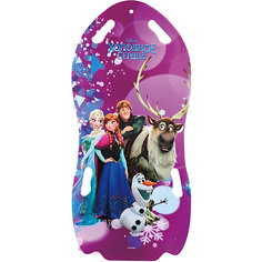 Ледянка для двоих1Toy Disney "Холодное сердце"