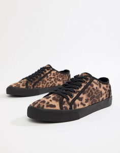 Кеды с леопардовым принтом ASOS DESIGN - Черный