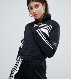 Черный спортивный топ adidas Originals X Danielle Cathari - Черный