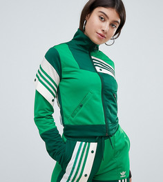Зеленый спортивный топ adidas Originals X Danielle Cathari - Зеленый