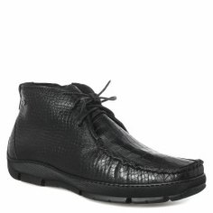 Ботинки DINO BIGIONI BL6703 черный
