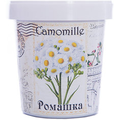 Набор для выращивания "Ромашка" Rostok Visa Бумбарам