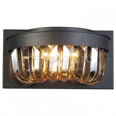 Накладной светильник Amber 1657-2W Favourite