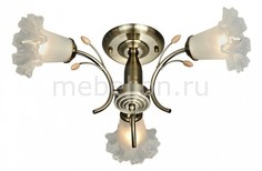 Люстра на штанге 760-507-03 Velante