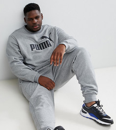 Серый свитшот Puma PLUS Essentials 85174703 - Серый