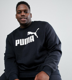 Черный свитшот Puma PLUS Essentials 85174701 - Черный