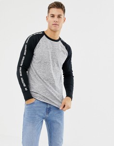 Черно-серый меланжевый бейсбольный лонгслив с логотипом Hollister - Серый