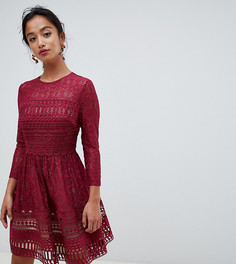 Короткое приталенное платье из кружева ASOS DESIGN Premium Petite - Красный