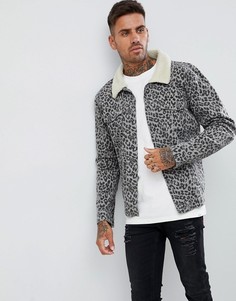 Джинсовая куртка с воротником борг и леопардовым принтом boohooMAN - Серый