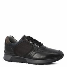 Кроссовки NERO GIARDINI A800469U черный