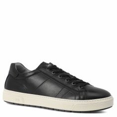 Кеды NERO GIARDINI A800600U черный