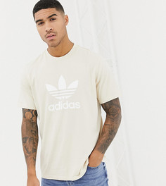 Серая футболка с логотипом-трилистником adidas Originals - Серый