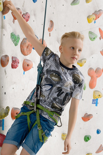 Футболка Pelican