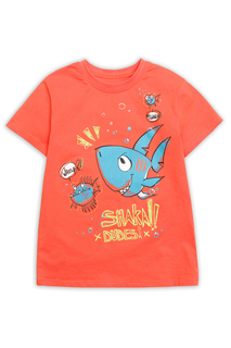 Футболка Pelican