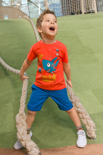 Футболка Pelican