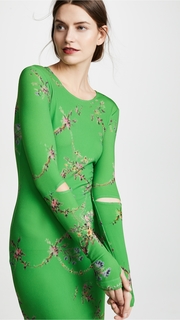 Preen By Thornton Bregazzi Sophie Dress
