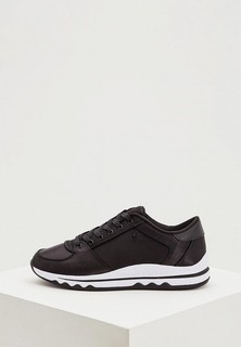 Кроссовки Armani Exchange