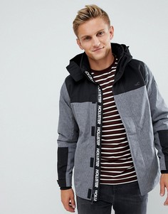Серая парка средней плотности с капюшоном и логотипом Hollister - Серый