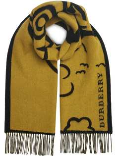 Аксессуары Burberry