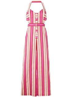 Одежда Temperley London