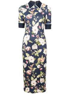 Одежда Alice+Olivia