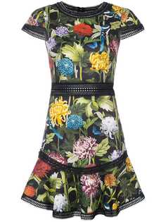 Одежда Alice+Olivia