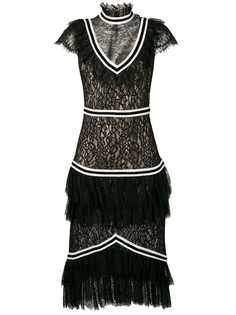 Одежда Alice+Olivia