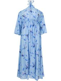 Одежда Vivetta