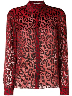 Одежда Alice+Olivia