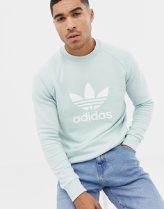 Зеленый свитшот с логотипом-трилистником adidas Originals - Зеленый