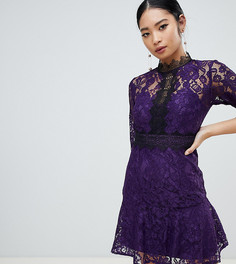 Фиолетовое приталенное платье с кружевом для выпускного Little Mistress Petite - Фиолетовый