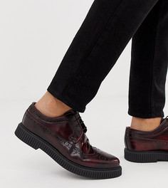 Бордовые кожаные броги-криперы ASOS DESIGN - Красный